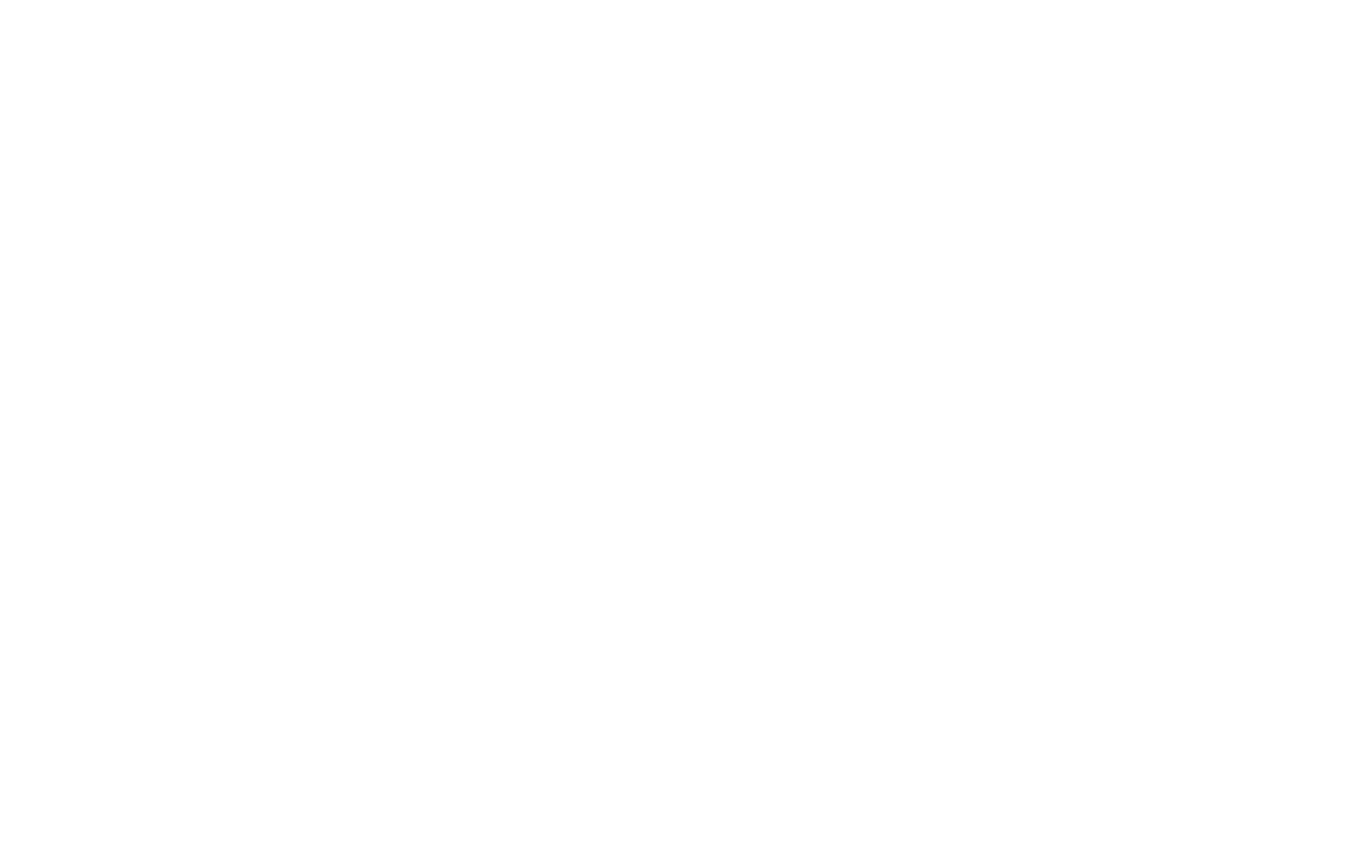 Denver Roller Derby logo
